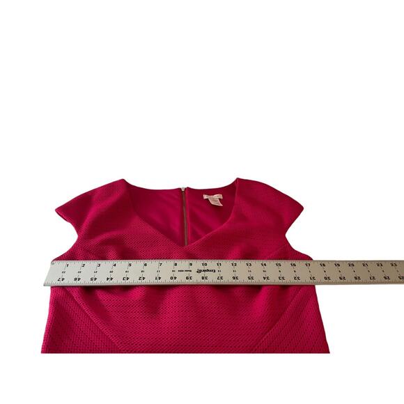 Caché Women's 10 Pink Textured Mesh Dress V Neck Cap Sleeve Fitted Mermaid Hem - Picture 4 of 12